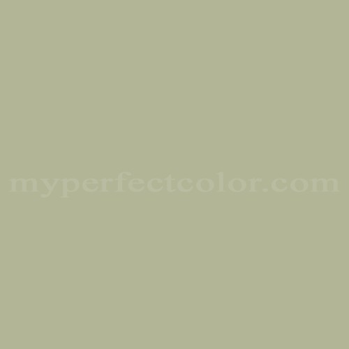 Martha Stewart D14 Green Tea Match | Paint Colors | Myperfectcolor