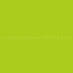 Ibis Cycles™ Green PT-375