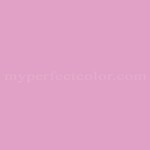 Behr™ 1A31-4 Clarity Pink