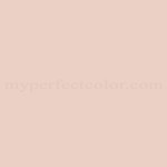 Color Your World™ 60YR68/102 Terra Cotta Pink