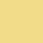 Color Your World™ 60YY71/409 Rich Yellow
