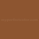 Color Your World™ 80YR13/325 Spanish Chestnut