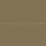 Columbia Paint™ 0367 Chocolate Velvet