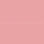 Coronado Paints™ 8080 Pink Carnation