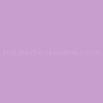 Dal Worth Paints™ 15-4T Wild Lilac