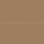 Dal Worth Paints™ 6-20D Cattail Brown