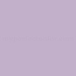 Dulux™ Wild Orchid