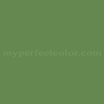 HTML Hex Color Code 4C8152