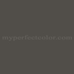 HTML Hex Color Code 514A45