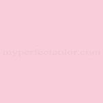 Mobile Paints™ 2220P12-2P Angelica Pink