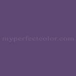 Olympic™ B42-6 Perfectly Purple
