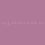 Porter Paints™ 10142-6 Purple Phlox