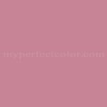 Porter Paints™ 10295-4 Pink Cedar