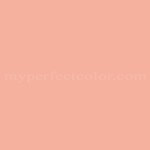 Porter Paints™ 10589-4 Peach Glow