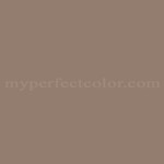 Porter Paints™ 16501-2 Dune Brown