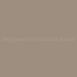 Porter Paints™ 16949-1 Nut Shell