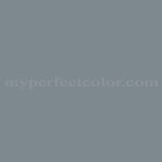 Porter Paints™ 17591-1 Gray Tweed
