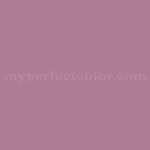 Porter Paints™ 6011-5 Purple Phlox