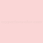 Porter Paints™ 6061-2 Fizz Pink