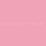 Porter Paints™ 6070-4 Pink Isle