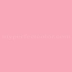 Porter Paints™ 6076-4 Festive Pink