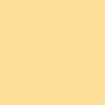 Porter Paints™ 6214-3 Yellow Tulip