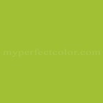 Porter Paints™ 6287-4 Green Feather
