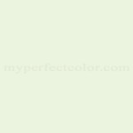 Porter Paints™ 6295-1 White Ivy