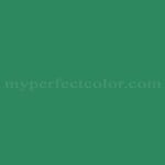 Porter Paints™ 6324-6 Mallard Green