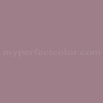 Porter Paints™ 6634-4 Plum Bisque