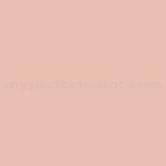 Porter Paints™ 6777-1 Clay Pink