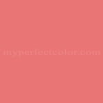 PPG Pittsburgh Paints™ 133-5 Siesta Rose