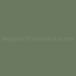 PPG Pittsburgh Paints™ 407-6 Chives