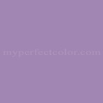 PPG Pittsburgh Paints™ PPG1249-5 Purple Statice