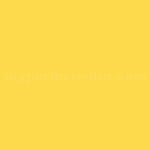 Prismatic Powders™ PSB-10072 Can-Am Yellow 18'