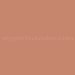 RAL 3012 Beige Red Paint