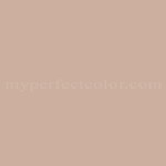 Sherwin Williams SW6853 Fussy Pink Precisely Matched For Paint and Spray  Paint