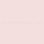 Sherwin Williams™ SW1599 Pink Champagne