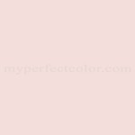 Sherwin Williams™ SW6595 Amour Pink