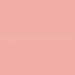 Sherwin Williams™ SW6604 Youthful Coral