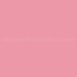Sherwin Williams™ SW6857 Pink Moment