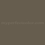 Sherwin Williams™ SW7054 Suitable Brown