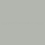 Sherwin Williams™ SW7058 Magnetic Gray
