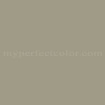 Sherwin Williams™ SW9127 At Ease Soldier