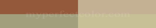  Designer's Color Combinations - March 2008 #4 