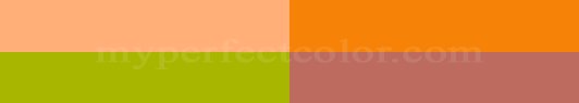  MyPerfectColor Combination - Colors for Your Color Blind Friend 