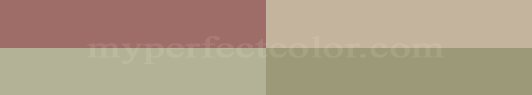  Designer's Color Combinations - March 2008 #1 